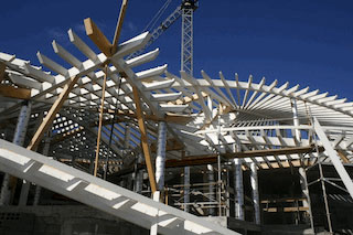 Intricate Frame Design